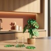 Διακοσμητική Μονστέρα 3D με Ενσωματωμένα Σουβέρ – Έξυπνο & Minimal Decor
